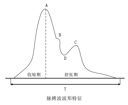 星空XK·(中国)体育有限公司